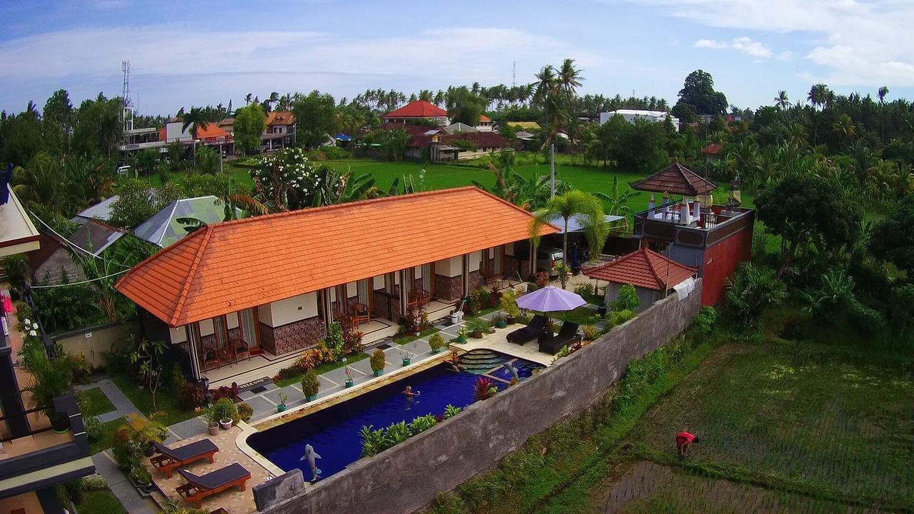 Summer Guesthouse Lovina Exterior foto